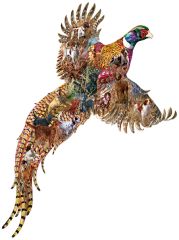 Sports Afield  -  Puzzle 685 pieces XXL